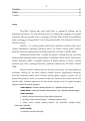 Rėmimo veiksmų taikymas AB „Panevėžio statybos trestas“ 2 puslapis