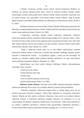 Rėmimo veiksmų taikymas AB „Panevėžio statybos trestas“ 13 puslapis