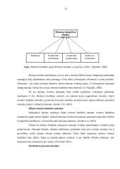 Rėmimo veiksmų taikymas AB „Panevėžio statybos trestas“ 7 puslapis