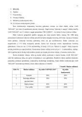 UAB “Kelias” veiklos analizė ir prognozės 11 puslapis