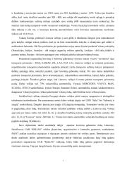 UAB “Kelias” veiklos analizė ir prognozės 7 puslapis