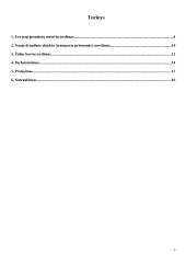Draudimo sutarčių apdorojimo programa "ECA-PAP" ("Saikas") 3 puslapis