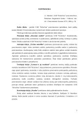 UAB “Kristiana” pozicionavimas 2 puslapis