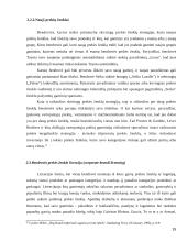 Prekės ženklo poveikis pardavimams skatinti 15 puslapis