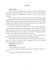 Reklamos internete 2 puslapis