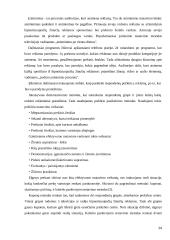 Reklamos kampanija hipnotizuojančiomis žinutėmis  14 puslapis