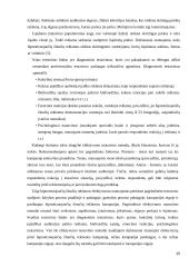 Reklamos kampanija hipnotizuojančiomis žinutėmis  15 puslapis