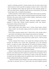 Reklamos internete veiksnių efektyvumo tyrimas 19 puslapis