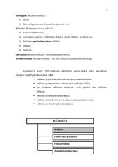Reklamos planavimo proceso problemos sprendimo būdai 5 puslapis