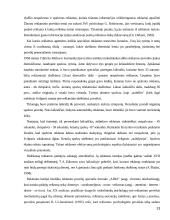 Reklamų poveikis vartotojui 13 puslapis