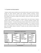 Tarptautinio marketingo strateginio valdymo aspektai ir jos diversifikacija 7 puslapis