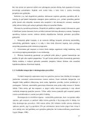 Tarptautinis marketingas logistikoje 17 puslapis