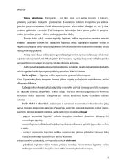 Tarptautinis marketingas logistikoje 3 puslapis
