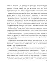 Prekybinės įmonės: UAB“Gelsva“, UAB“Daisena“, UAB„Angolita”, kurios aktyviai vykdo prekybinę veiklą 19 puslapis