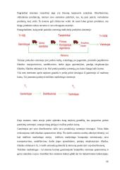 Marketingo strategija ir taktika organizuojant biologiškai aktyvių maisto priedų pardavimą Lietuvoje 11 puslapis
