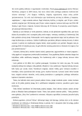 Išvykstamasis žiemos turizmas 12 puslapis