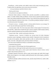 Išvykstamasis žiemos turizmas 16 puslapis