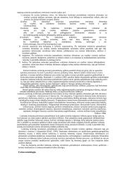 Klaipėdos miesto turistinio patrauklumo tyrimas 2 puslapis