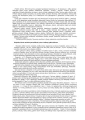 Klaipėdos miesto turistinio patrauklumo tyrimas 3 puslapis