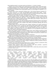 Klaipėdos miesto turistinio patrauklumo tyrimas 4 puslapis