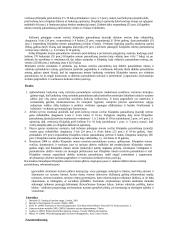 Klaipėdos miesto turistinio patrauklumo tyrimas 5 puslapis