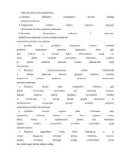 Miesto kelionių agentūrų paslaugų tiekimo ypatumai  11 puslapis