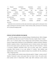 Miesto kelionių agentūrų paslaugų tiekimo ypatumai  12 puslapis