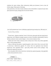 Miesto kelionių agentūrų paslaugų tiekimo ypatumai  15 puslapis