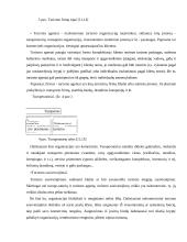 Miesto kelionių agentūrų paslaugų tiekimo ypatumai  16 puslapis