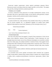 Miesto kelionių agentūrų paslaugų tiekimo ypatumai  17 puslapis