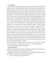 Miesto kelionių agentūrų paslaugų tiekimo ypatumai  19 puslapis