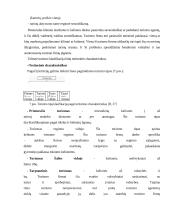 Miesto kelionių agentūrų paslaugų tiekimo ypatumai  20 puslapis