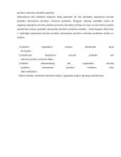 Miesto kelionių agentūrų paslaugų tiekimo ypatumai  3 puslapis