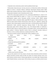 Miesto kelionių agentūrų paslaugų tiekimo ypatumai  4 puslapis