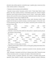 Miesto kelionių agentūrų paslaugų tiekimo ypatumai  5 puslapis