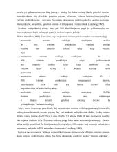 Miesto kelionių agentūrų paslaugų tiekimo ypatumai  8 puslapis