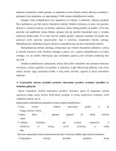 Miesto kelionių agentūrų paslaugų tiekimo ypatumai  10 puslapis