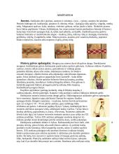 Lietuvių tautinių kostiumų aksesuarai 3 puslapis