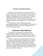 Lyrizmas lietuvių liaudies dainose 6 puslapis