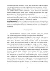 UAB „Morionis“ plėtros verslo planas 11 puslapis