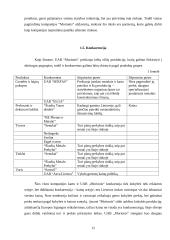 UAB „Morionis“ plėtros verslo planas 12 puslapis