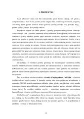 UAB „Morionis“ plėtros verslo planas 14 puslapis