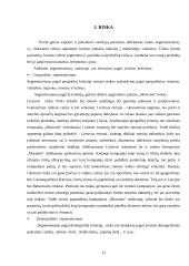 UAB „Morionis“ plėtros verslo planas 15 puslapis