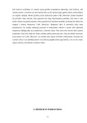 UAB „Morionis“ plėtros verslo planas 17 puslapis