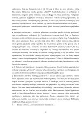 UAB „Morionis“ plėtros verslo planas 20 puslapis