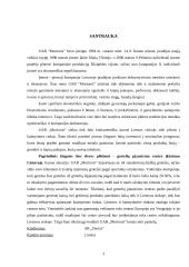 UAB „Morionis“ plėtros verslo planas 3 puslapis