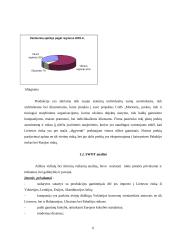 UAB „Morionis“ plėtros verslo planas 6 puslapis