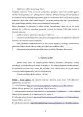 UAB „Morionis“ plėtros verslo planas 8 puslapis