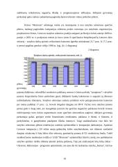 UAB „Morionis“ plėtros verslo planas 10 puslapis