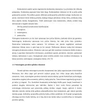 UAB Snaigė plėtra Lietuvos ir užsienio rinkose 11 puslapis